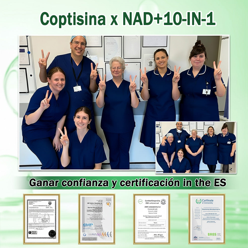 💎Conforme a la normativa aplicable en España y en la Unión Europea |  GFOUK® Moringa · Berberina × NAD+ Parche Avanzado de Nanomicroagujas 10 en 1 |  Respaldado por la ciencia | Fórmula 10 en 1 |  Resultados visibles en 7 días ✅