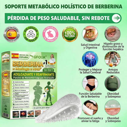 👑GFOUK® 𝐁𝐞𝐫𝐛𝐞𝐫𝐢𝐧𝐞 · Castaño de caballo × NAD+ 10 en 1 Parche Avanzado de Nano Microneedle — 👨‍⚕️ Una vez al día, resultados visibles en 7 días (obesidad, piel flácida, diabetes, apnea del sueño, problemas articulares y más)