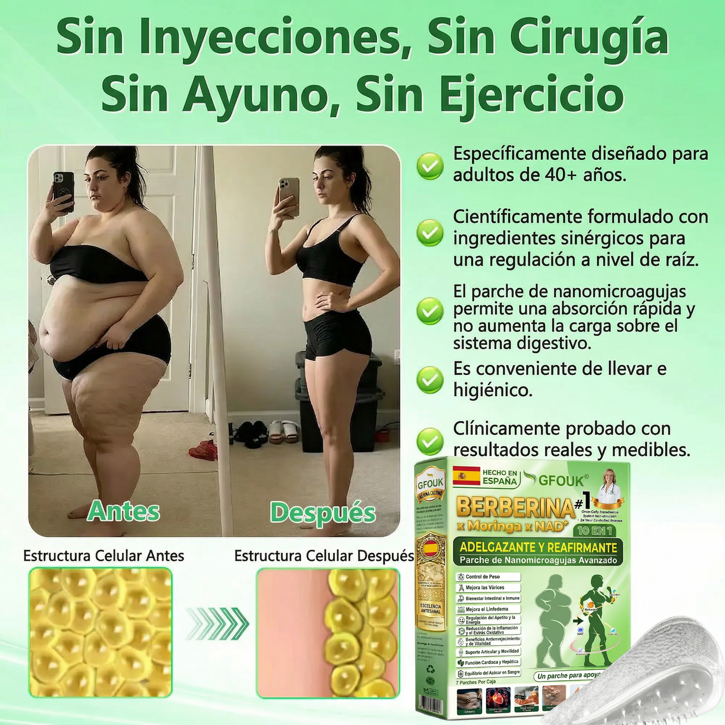 👑GFOUK® 𝐁𝐞𝐫𝐛𝐞𝐫𝐢𝐧𝐞 · Castaño de caballo × NAD+ 10 en 1 Parche Avanzado de Nano Microneedle — 👨‍⚕️ Una vez al día, resultados visibles en 7 días (obesidad, piel flácida, diabetes, apnea del sueño, problemas articulares y más)