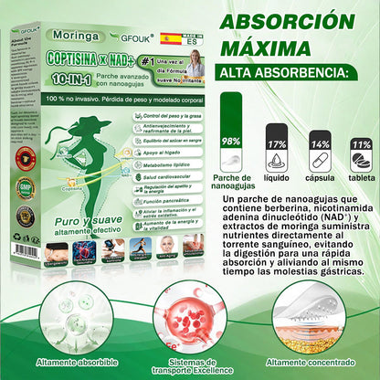 💎Conforme a la normativa aplicable en España y en la Unión Europea |  GFOUK® Moringa · Berberina × NAD+ Parche Avanzado de Nanomicroagujas 10 en 1 |  Respaldado por la ciencia | Fórmula 10 en 1 |  Resultados visibles en 7 días ✅