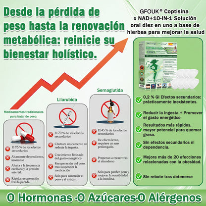 💎Conforme a la normativa aplicable en España y en la Unión Europea |  GFOUK® Moringa · Berberina × NAD+ Parche Avanzado de Nanomicroagujas 10 en 1 |  Respaldado por la ciencia | Fórmula 10 en 1 |  Resultados visibles en 7 días ✅